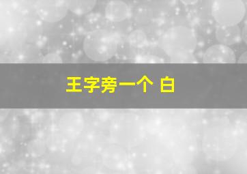 王字旁一个 白